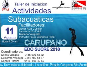 Taller Iniciacion Actividaes Subacuaticas Agosto 2018